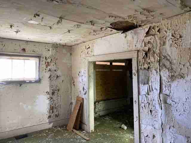 Testing again(25).jpg